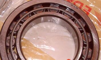NSK NU219W Bearing